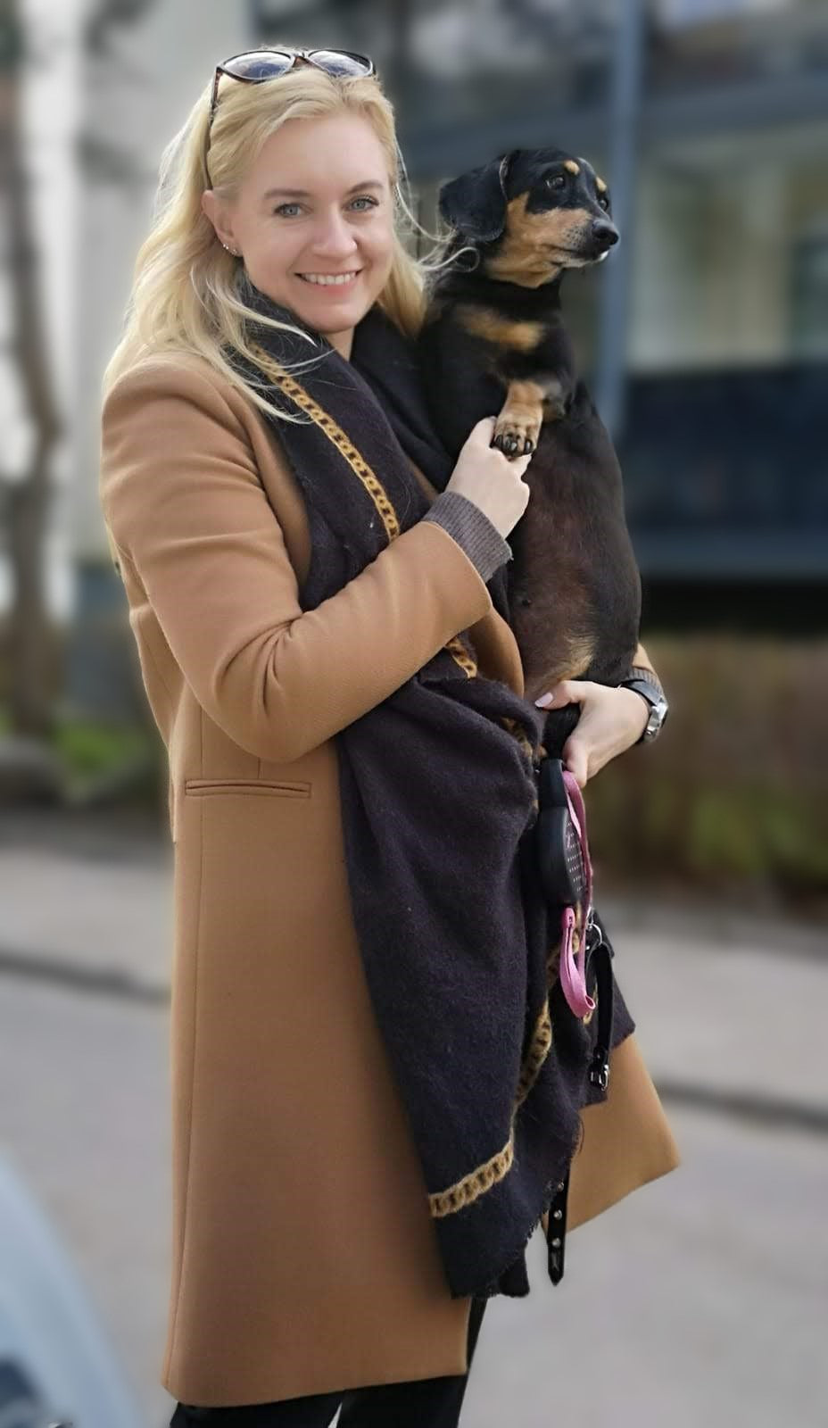Paw Valley products for pets online