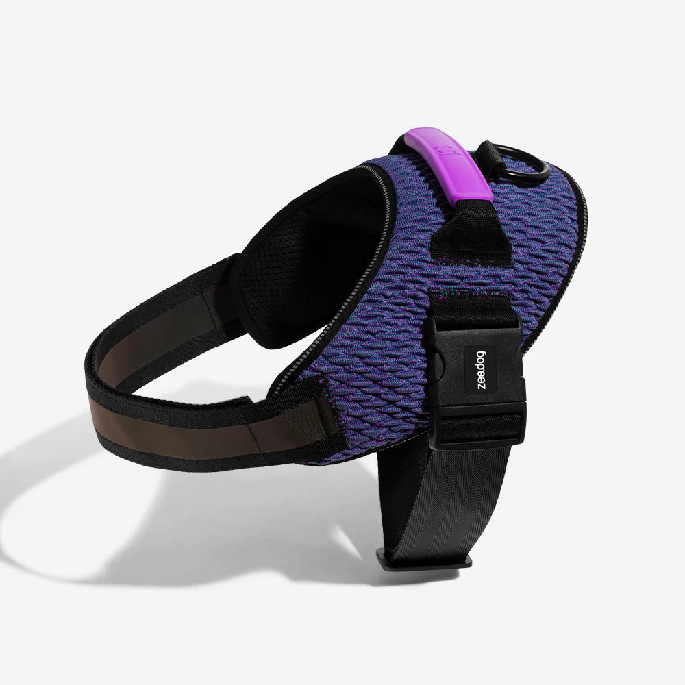 Flyharness for Dogs Wicked