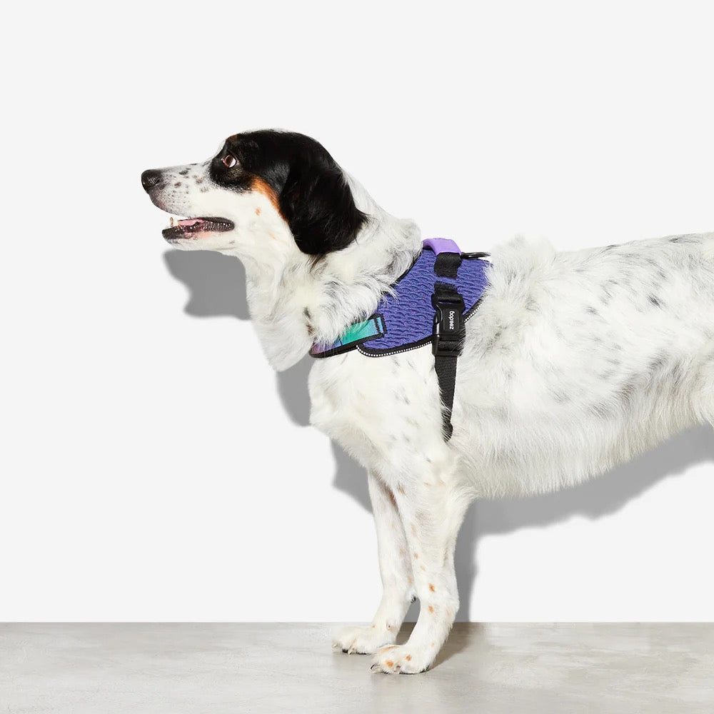 Flyharness for Dogs Wicked
