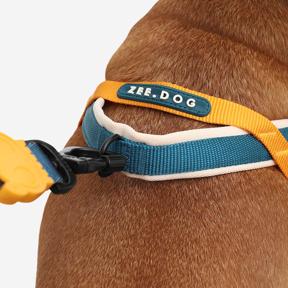 Dog Softer Walk Harness Voyage