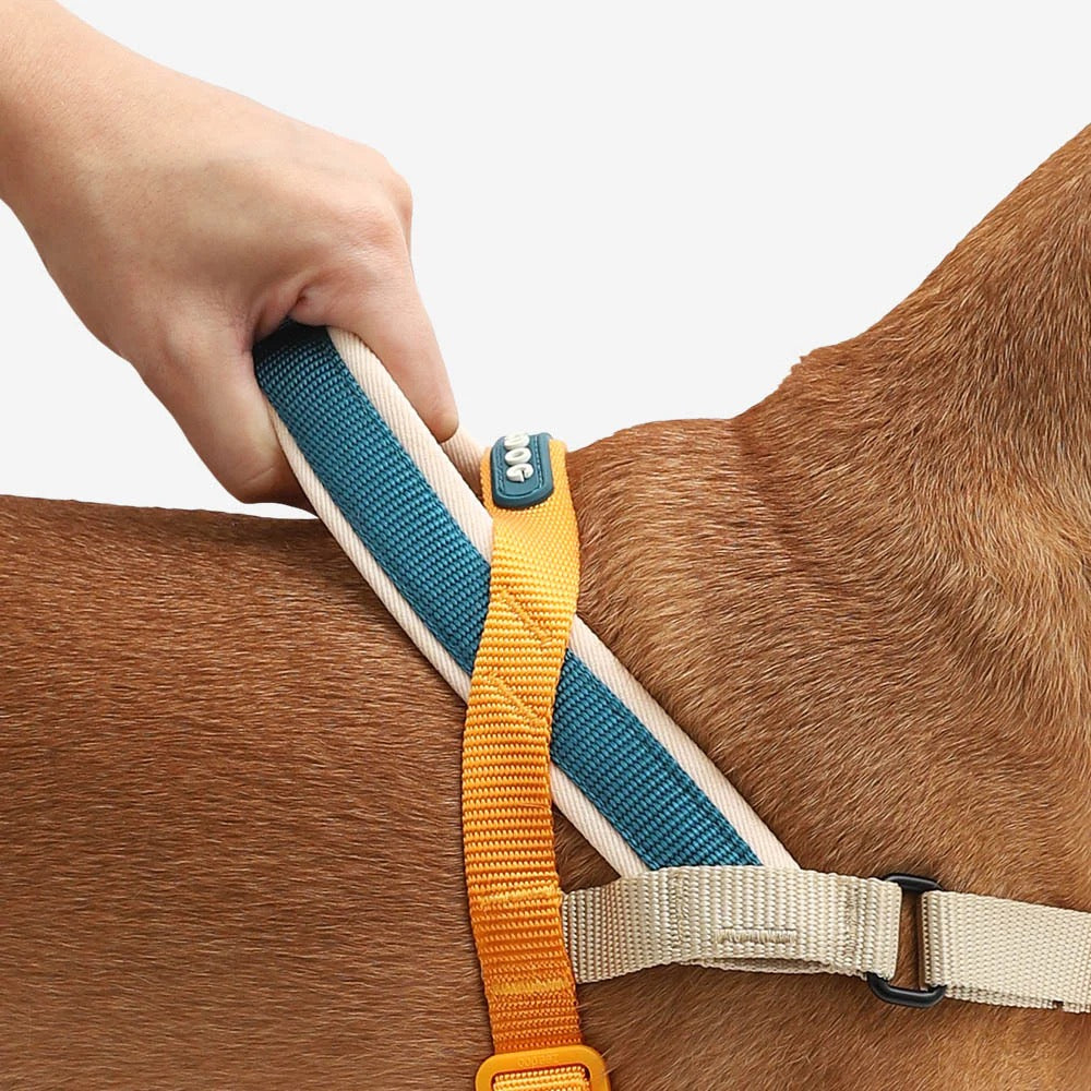 Dog Softer Walk Harness Voyage