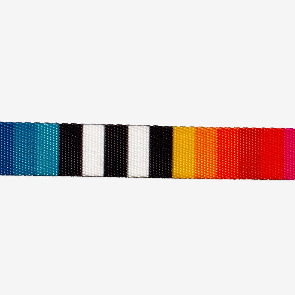 Dog H-Harness Prisma