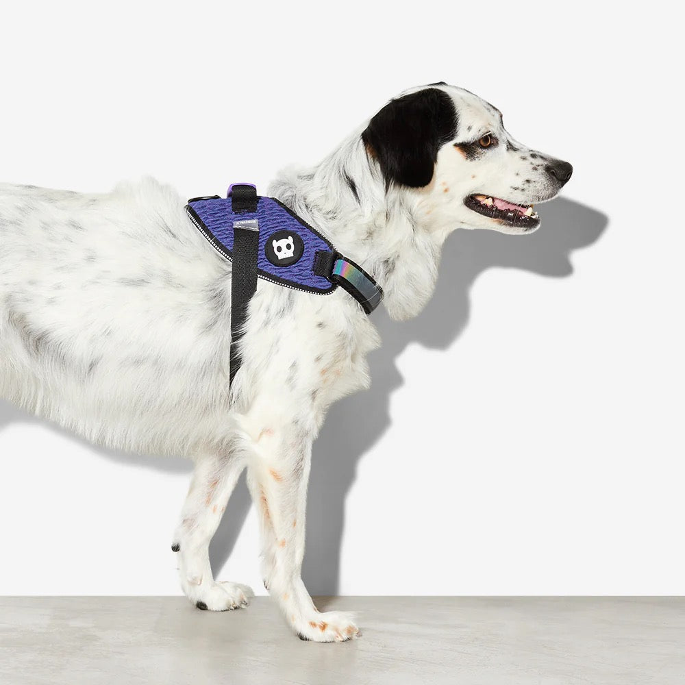 Flyharness for Dogs Wicked Paw Valley eshop