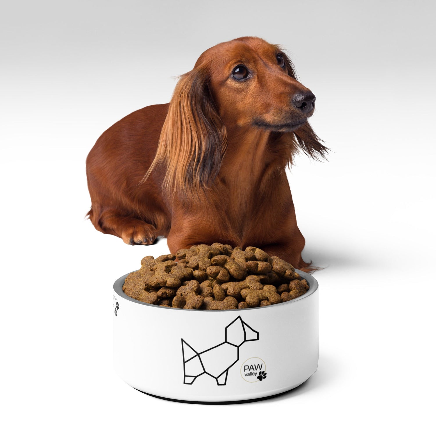 Dog Bowl Paw Valley eshop