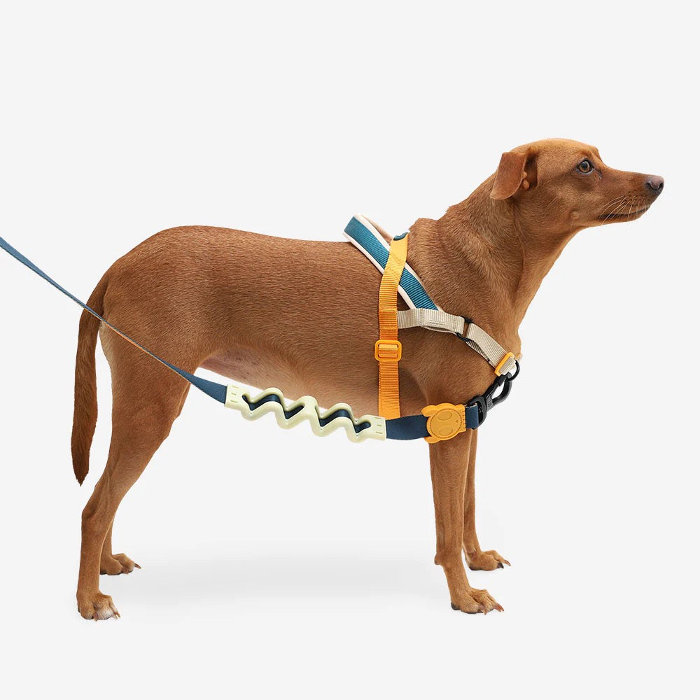 Dog Softer Walk Harness Voyage