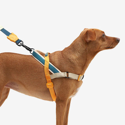 Dog Softer Walk Harness Voyage